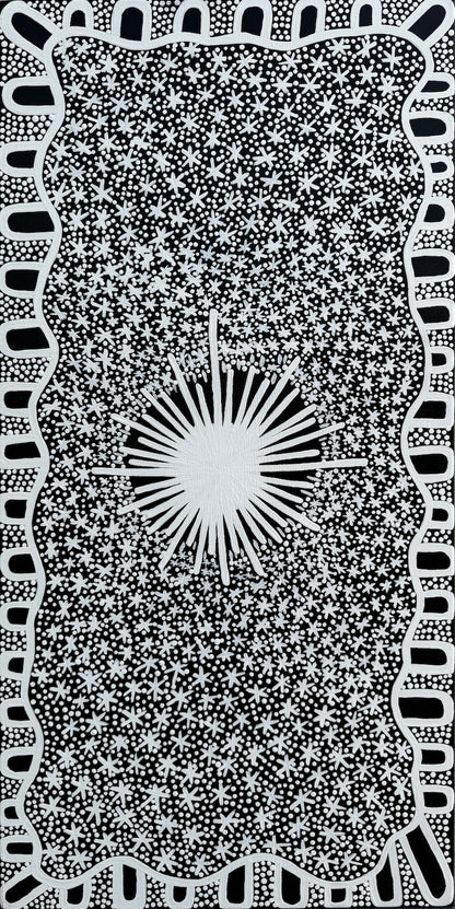Constellations of the Dreamtime 