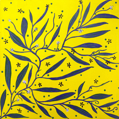 Sarsaparilla - Medicinal