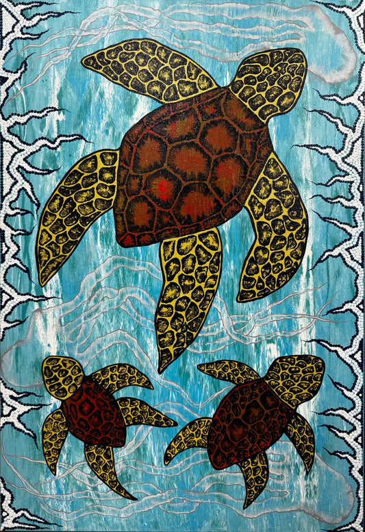 Turtles In Feeding Grounds